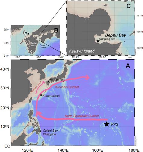 Map Of The Western North Pacific Area A Surface Sea Currents North