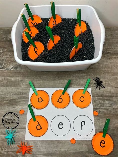 25 Best Backyard Pumpkin Patch Ideas and Activities - Lil Tigers