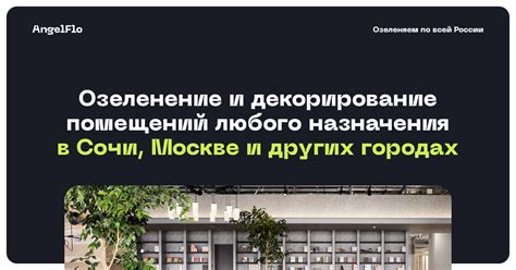Заказать озеленение интерьера или помещения в Сочи, в Москве, в Санкт ...