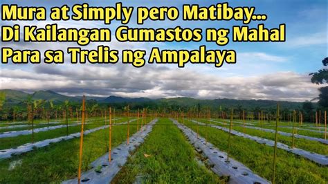 MAY POSTE NA ANG AMPALAYA Simply Pero Matibay YouTube