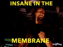 Insane In The Membrane Excited To See You Insane In The Membrane