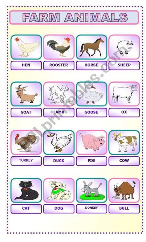 Farm Animals Vocabulary Esl Worksheet By Latty