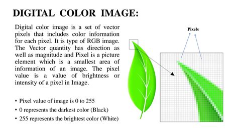 SOLUTION Digital Image Processing Project Powerpoint Presentation