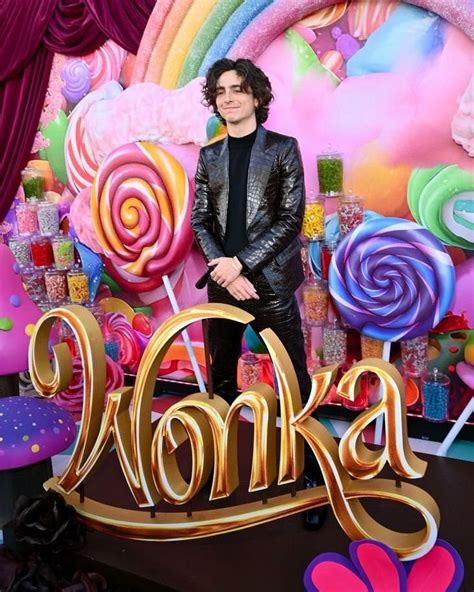 Timoth E Chalamet Today During The Wonka Red Carpet In Los Angeles