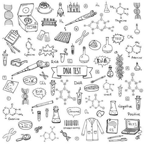 School Science Doodles Stock Vector Image By Sashatigar 51488787