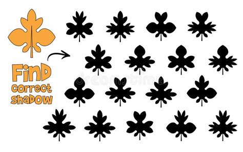 Find The Correct Shadow Find 2 Same Objects Stock Vector