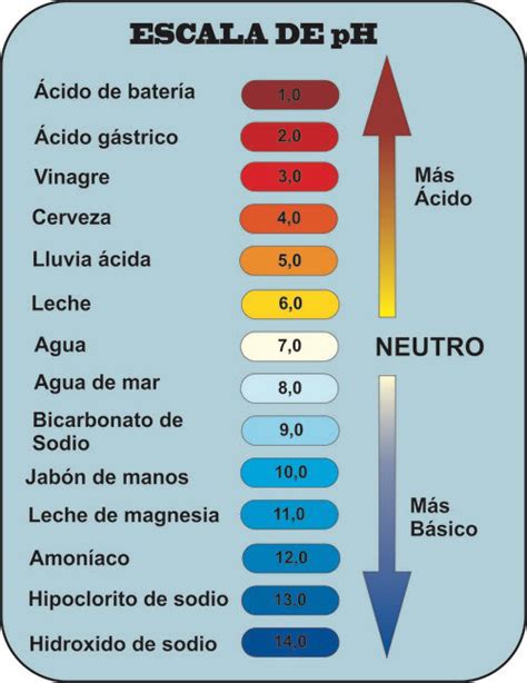 Autoionizaci N Del Agua Y Escala De Ph