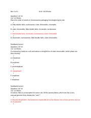 Chapter Wk Study Questions Docx Part Of Points