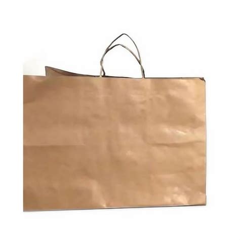 Brown Plain Loop Handle Paper Carry Bags Capacity 1 Kg At Best Price