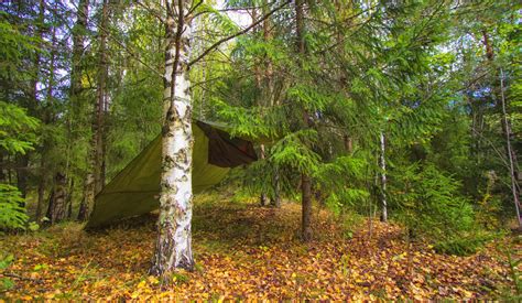 5 Types Of Survival Shelters That Could Save Your Life Redtea News