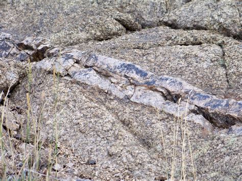 Aplite Dike In Butte Quartz Monzonite Late Cretaceous 76 Flickr