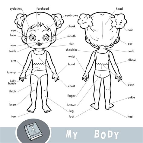 Dicionário visual de desenhos animados para crianças sobre o corpo