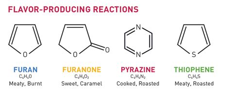 Maillard Reaction | Custom Flavors | T. Hasegawa USA