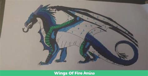 This Is What I Look Like As A Dragon I Am A Nightwing Seawing Icewing