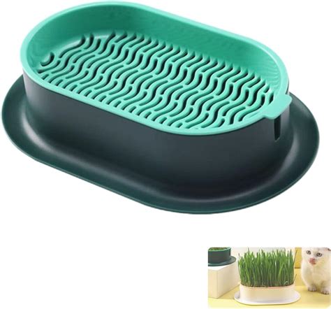 Cat Grass Planter Easy To Plant Cat Grass Growing Kit Suitable For Indoor Without Seeds Green