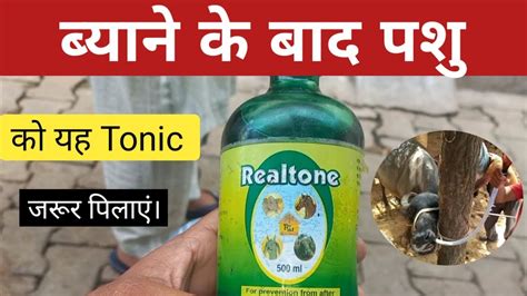 बयन क बद पश क यह Tonic जरर पलए Utrine syrup in vet