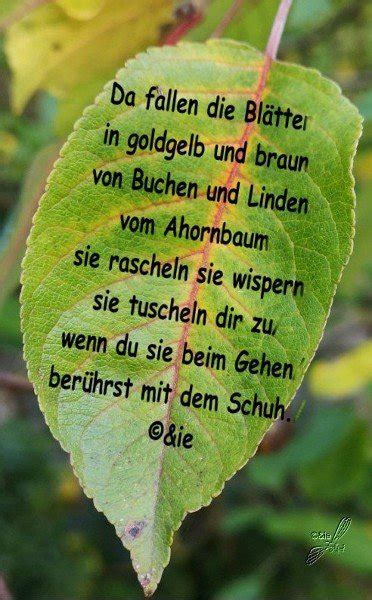 Gedicht Im Herbst Von Sieghild Krieter Herbst Bei E Stories De