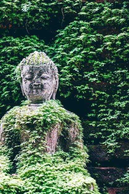 Premium Photo Statue In Garden