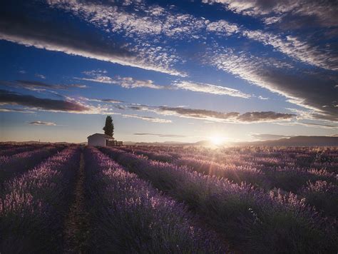 Lavender Sunrise Photograph by Rostovskiy Anton - Fine Art America