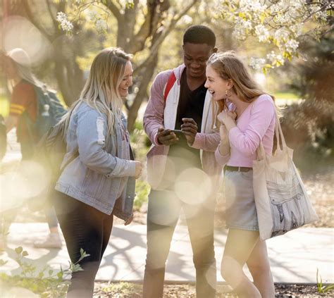 open option program iowa state university