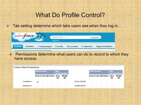 Profiles And Permission Sets In Salesforce Ppt