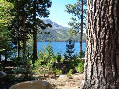 Fallen Leaf Lake California 5152x3864 Oc Rearthporn