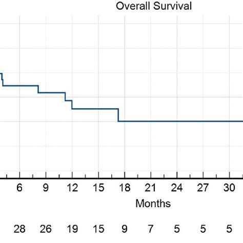 Kaplan Meier Plot Depicting Overall Survival Os In Patients With