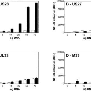 Gene Dose Dependent Induction Of NF B Activity By US28 US27 UL33 And