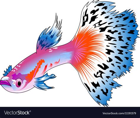 Guppy Royalty Free Vector Image Vectorstock