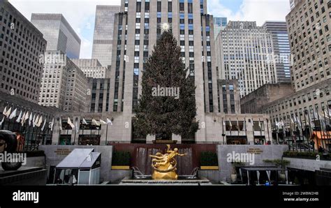 NEW YORK CITY NEW YORK USA JANUARY 10 2024 Christmas Tree At