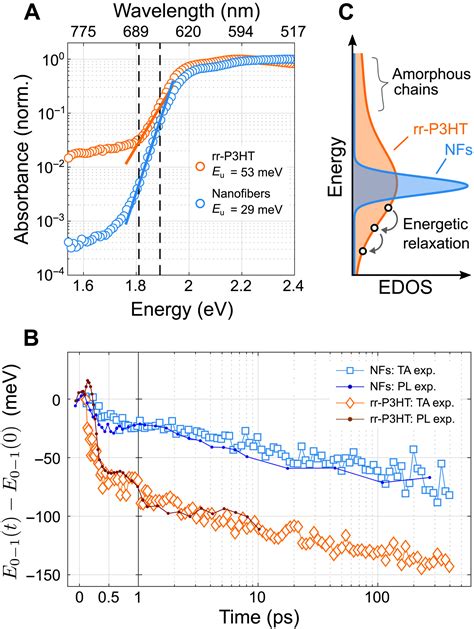 Efficient Energy Transport In An Organic Semiconductor Mediated By