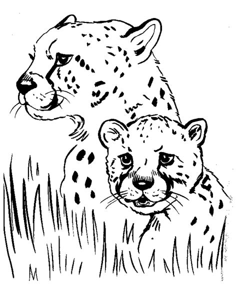 Realistic Animal Coloring Pages | Free Printable Animals Coloring Pages