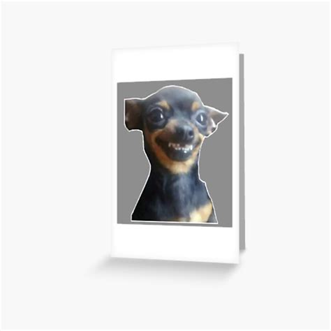 Smiling Dog Meme Greeting Card For Sale By Danimora Redbubble