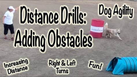 Distance Drills Dog Agility Training Part 4 Youtube