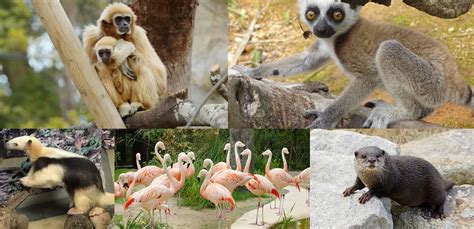 ときわ公園とは ときわ公園山口県宇部市