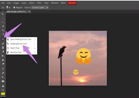 Las 3 mejores formas de eliminar un emoticón de las fotos en línea