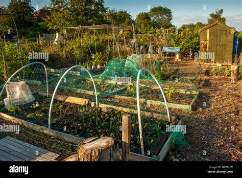 Raised Beds Covered With Netting Hi Res Stock Photography And Images