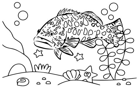 Grouper to Color Coloring Page - Free Printable Coloring Pages