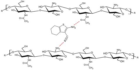 Marine Drugs Free Full Text Chitosan Based Films With 2