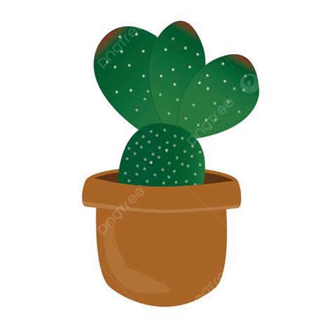 Cactus Vector Png Vector Psd And Clipart With Transparent