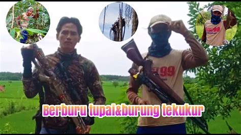 Berburu Tupai Burung Tekukur Menggunakan Gejluk Pasopati Vs Uklik