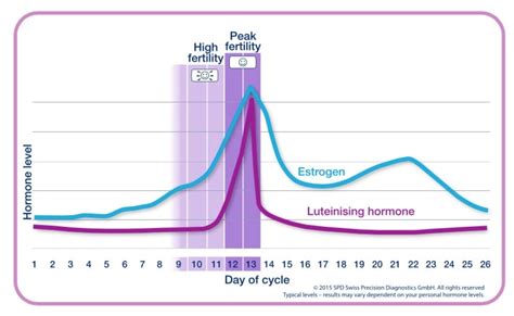 How To Get Pregnant Faster Conceiving Quickly Clearblue