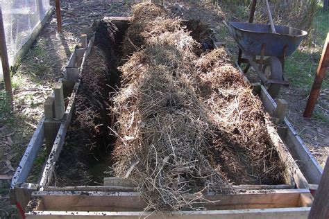 A Guide To Filling Raised Garden Beds