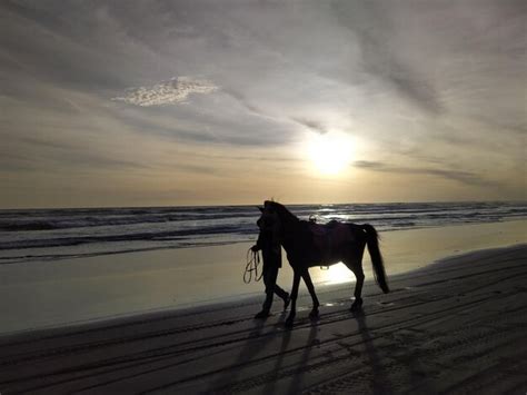 Premium Photo | Horse riding horses on beach