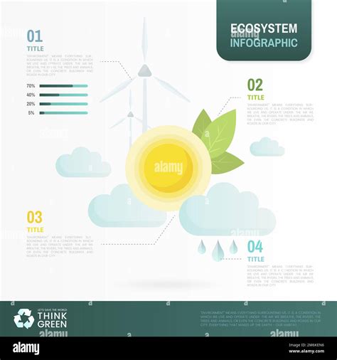 Ecosystem Infographic Environmental Conservation Vector Stock Vector