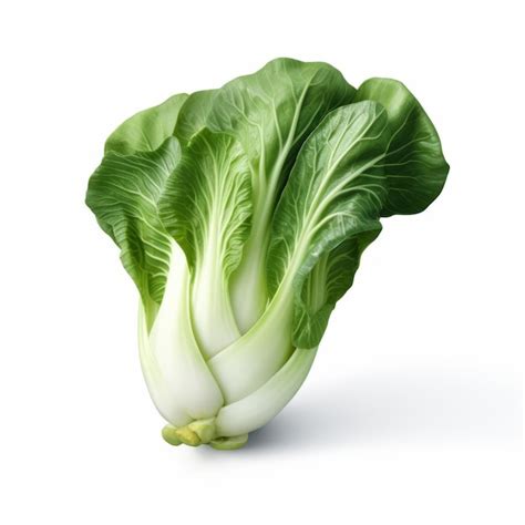 Beautiful Asian Vegetable Bok Choy Isolated On White Background