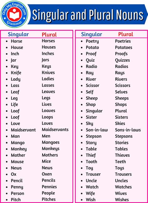 List Of Singular And Plural Nouns Words Singular And Plural Nouns Plurals Plural Nouns