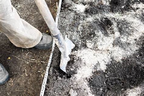 Comment Utiliser La Cendre De Bois Au Jardin Potager