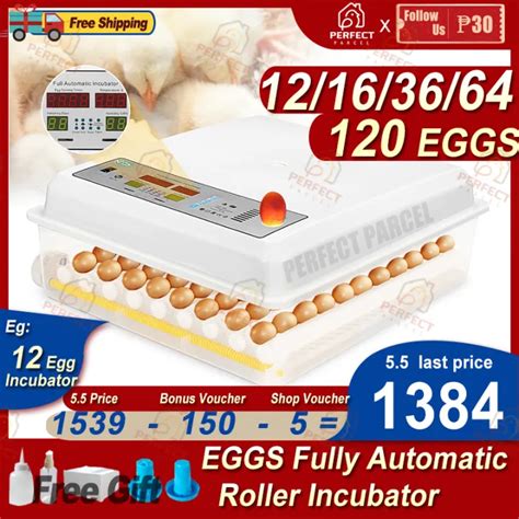 V Eggs Incubator Digital Automatic Egg Incubator