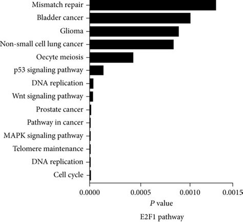 The Enriched Pathways Of Four Tfs Foxa1 A Pgr B Hoxa9 C And